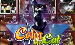 Colin the Cat