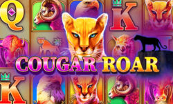Cougar Roar