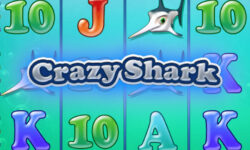 Crazy Shark