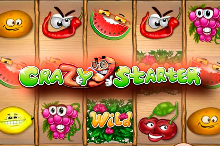Crazy Starter Slot Game Screenshot