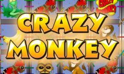 Crazy Monkey