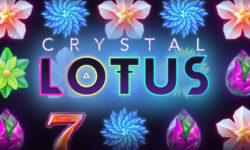 Crystal Lotus