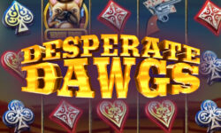 Desperate Dawgs