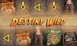 Destiny Wild