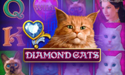 Diamond Cats