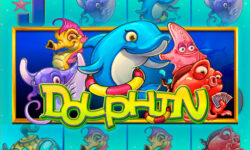 Dolphin