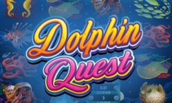 Dolphin Quest