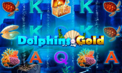 Dolphins Gold
