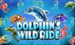 Dolphin’s Wild Ride
