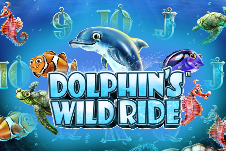 Dolphin’s Wild Ride Slot Game Screenshot