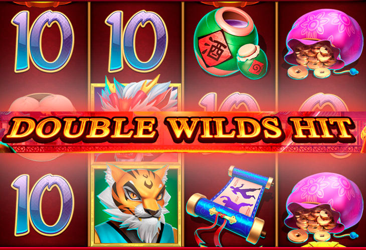Double Wilds Slot Game Screenshot