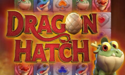 Dragon Hatch