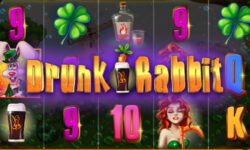 Drunk Rabbit