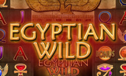 Egyptian Wild