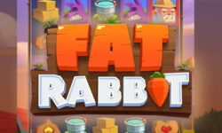 Fat Rabbit