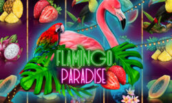 Flamingo Paradise