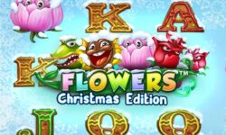 Flowers Christmas Edition