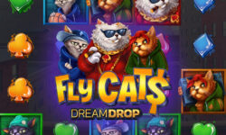 Fly Cats Dream Drop