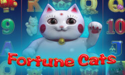 Fortune Cats