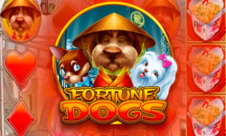 Fortune Dogs