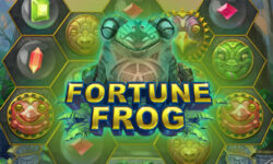 Fortune Frog