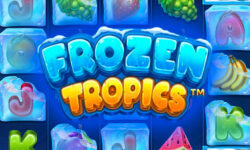 Frozen Tropics