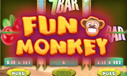 Fun Monkey