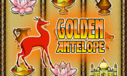 Golden Antelope
