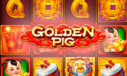 Golden Pig
