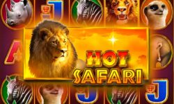 Hot Safari
