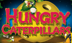 Hungry Caterpillars