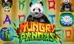 Hungry Pandas