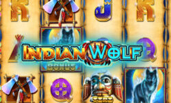 Indian Wolf