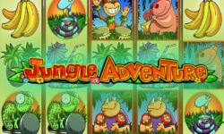 Jungle Adventure