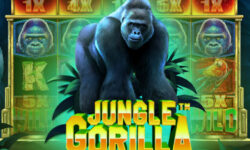 Jungle Gorilla