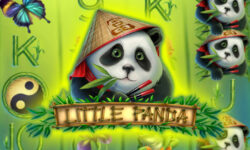 Little Panda