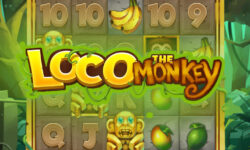 Loco the Monkey