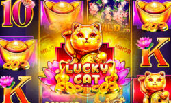 Lucky Cat