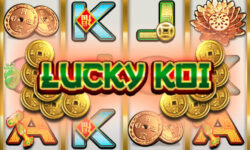 Lucky Koi
