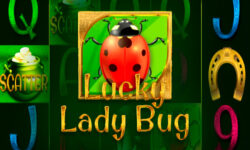Lucky Lady Bug