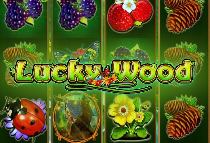 Lucky Wood Slot Game Screenshot