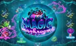Magic Mushrooms