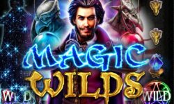 Magic Wilds