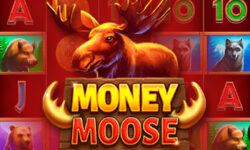 Money Moose