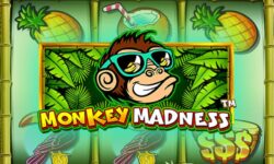 Monkey Madness