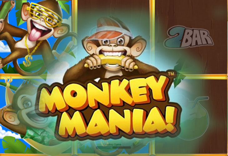 Monkey Mania Slot Game Screenshot