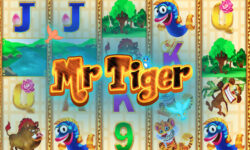 Mr Tiger