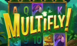 Multifly