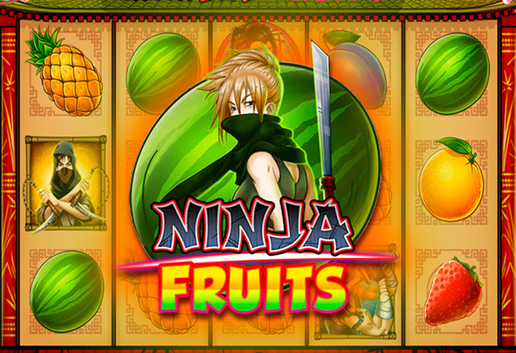 Ninja Fruits Slot Game Screenshot
