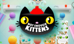 Not Enough Kittens